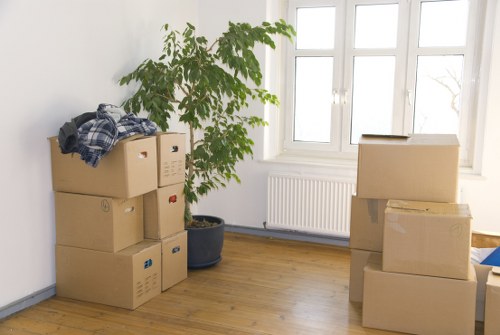 Professional van and man service during a move
