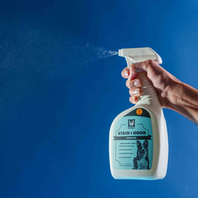 A close-up of a person's hand holding a white spray bottle with a trigger, actively spraying a fine mist onto a plain blue background. The label on the bottle indicates it is a stain and odour remover designed for household cleaning, with a description emphasizing its effectiveness in eliminating stains and odours, including a small image of a dog. The scene illustrates cleaning preparations often involved in home relocation or moving processes, highlighting the importance of thorough house cleaning prior to packing or after unpacking. This step is an integral part of the packing and moving service offered by Islington Man and Van, specialist in house removals near Canonbury flats and Highbury Fields N1. Proper cleaning supplies like this spray are typical in professional moving operations to assist with the efficient and hygienic turnover of properties during furniture transport and packing activities.
